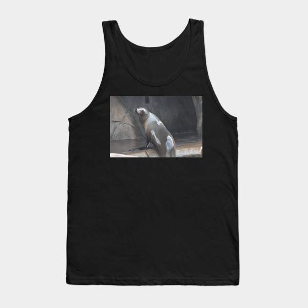 Sea Lion Tank Top by MarieDarcy